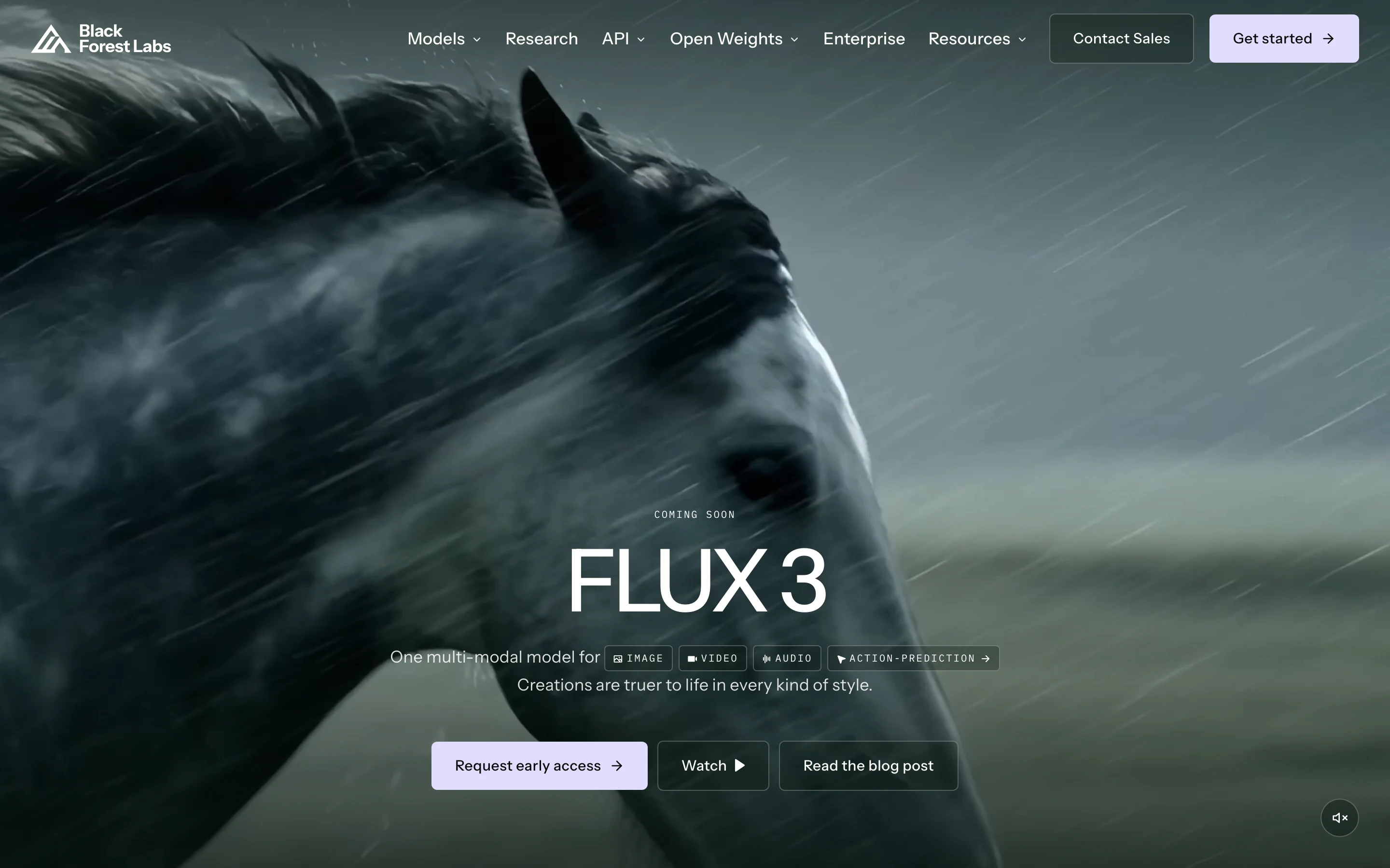 Главная страница Black Forest Labs: анонс модели FLUX 3, один мультимодальный движок для картинки, видео, аудио