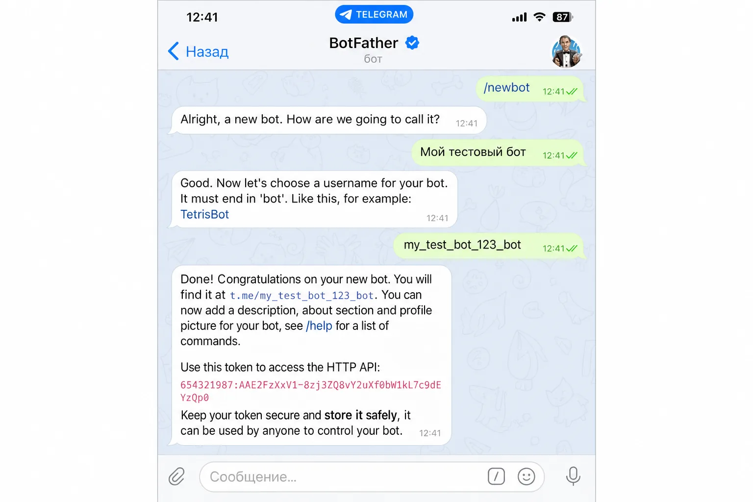 Диалог с BotFather: команда /newbot, ввод имени и username, полученный токен бота
